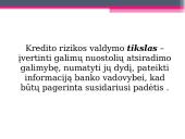 Kredito rizika bei jos valdymas 19 puslapis