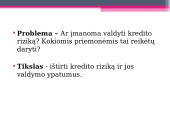 Kredito rizika bei jos valdymas 3 puslapis