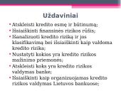 Kredito rizika bei jos valdymas 4 puslapis