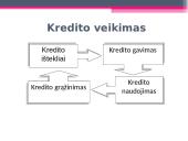 Kredito rizika bei jos valdymas 6 puslapis