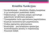 Kredito rizika bei jos valdymas 7 puslapis