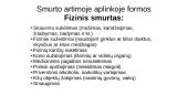 Smurto artimoje aplinkoje samprata ir formos 16 puslapis