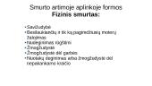 Smurto artimoje aplinkoje samprata ir formos 17 puslapis