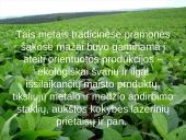 Lietuvos ekonomikos raida 14 puslapis