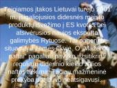 Lietuvos ekonomikos raida 19 puslapis