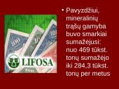 Lietuvos ekonomikos raida 4 puslapis