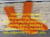 Lietuvos ekonomikos raida 10 puslapis