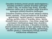 Lietuvos Respublikos (LR) Draudimo įstatymo analizė 11 puslapis