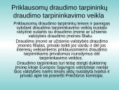 Lietuvos Respublikos (LR) Draudimo įstatymo analizė 12 puslapis