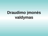 Lietuvos Respublikos (LR) Draudimo įstatymo analizė 18 puslapis