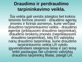 Lietuvos Respublikos (LR) Draudimo įstatymo analizė 8 puslapis