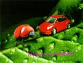 Nanotechnologijos 3 puslapis