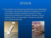 Naujausias prekybinis inventorius 5 puslapis