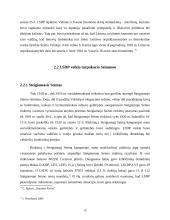 Lietuvos socialdemokratų partijos veiklos Seime tarpukario Lietuvoje ir po nepriklausomybės atkūrimo (nuo 1990 m.) palyginimas 9 puslapis