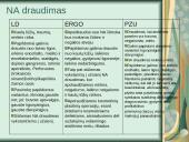 Nelaimingų atsitikimų draudimas 2 puslapis