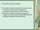 Nelaimingų atsitikimų draudimas 3 puslapis