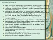 Nelaimingų atsitikimų draudimas 4 puslapis