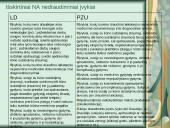 Nelaimingų atsitikimų draudimas 5 puslapis