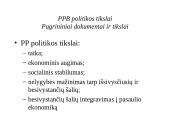 Plėtros ir bendradarbiavimo politika 6 puslapis