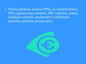 Prekių pateikimas 2 puslapis