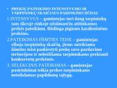Prekių pateikimas 12 puslapis