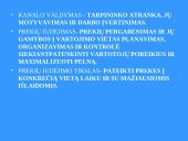 Prekių pateikimas 13 puslapis
