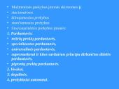 Prekių pateikimas 17 puslapis