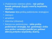 Prekių pateikimas 8 puslapis