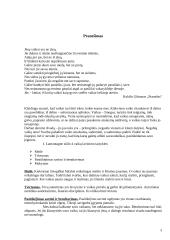 Renginio planas: tėvų susirinkimas 3 puslapis