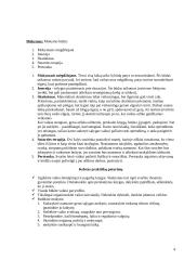 Renginio planas: tėvų susirinkimas 4 puslapis