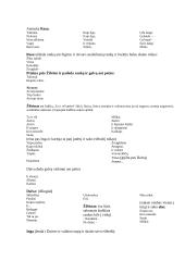 Renginio scenarijus: kompozicija Pauliaus Širvio atminimui 2 puslapis