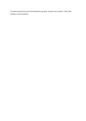 Tėvų ir vaikų konfliktas – amžinas kartų konfliktas 3 puslapis