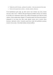 Tėvų ir vaikų konfliktas - amžinas kartų konfliktas. Kalbos planas 2 puslapis