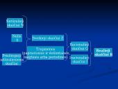 Skaičiai. Skaičių dalumas 20 puslapis