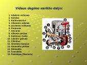 Šiluminiai ir vidaus degimo varikliai 4 puslapis