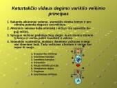 Šiluminiai ir vidaus degimo varikliai 5 puslapis