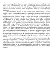 Asmenybės laikysenos ribinėse situacijose atskleidimas lietuvių literatūroje 2 puslapis