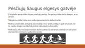 Saugus elgesys gatvėje 13 puslapis