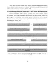 Socialinių paslaugų šeimai kokybės užtikrinimas, smurtą artimoje aplinkoje patyrusioms moterims ir jų vaikams 10 puslapis