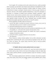 Socialinių paslaugų šeimai kokybės užtikrinimas, smurtą artimoje aplinkoje patyrusioms moterims ir jų vaikams 13 puslapis