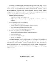Socialinių paslaugų šeimai kokybės užtikrinimas, smurtą artimoje aplinkoje patyrusioms moterims ir jų vaikams 19 puslapis