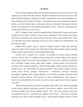 Socialinių paslaugų šeimai kokybės užtikrinimas, smurtą artimoje aplinkoje patyrusioms moterims ir jų vaikams 2 puslapis