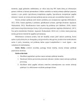 Socialinių paslaugų šeimai kokybės užtikrinimas, smurtą artimoje aplinkoje patyrusioms moterims ir jų vaikams 3 puslapis