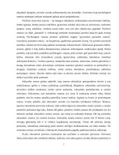 Socialinių paslaugų šeimai kokybės užtikrinimas, smurtą artimoje aplinkoje patyrusioms moterims ir jų vaikams 6 puslapis
