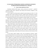 Socialinių paslaugų šeimai kokybės užtikrinimas, smurtą artimoje aplinkoje patyrusioms moterims ir jų vaikams 8 puslapis