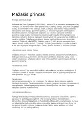 Mažasis princas - išsami analizė