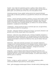 Mažasis princas - išsami analizė 3 puslapis