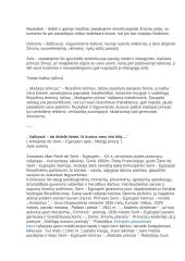 Mažasis princas - išsami analizė 4 puslapis