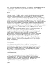 Mažasis princas - išsami analizė 5 puslapis