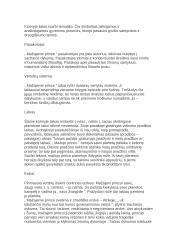 Mažasis princas - išsami analizė 6 puslapis